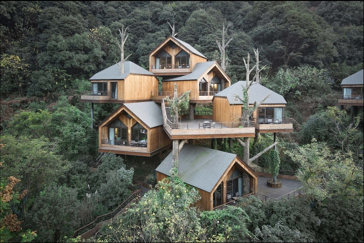 Premium Accommodations